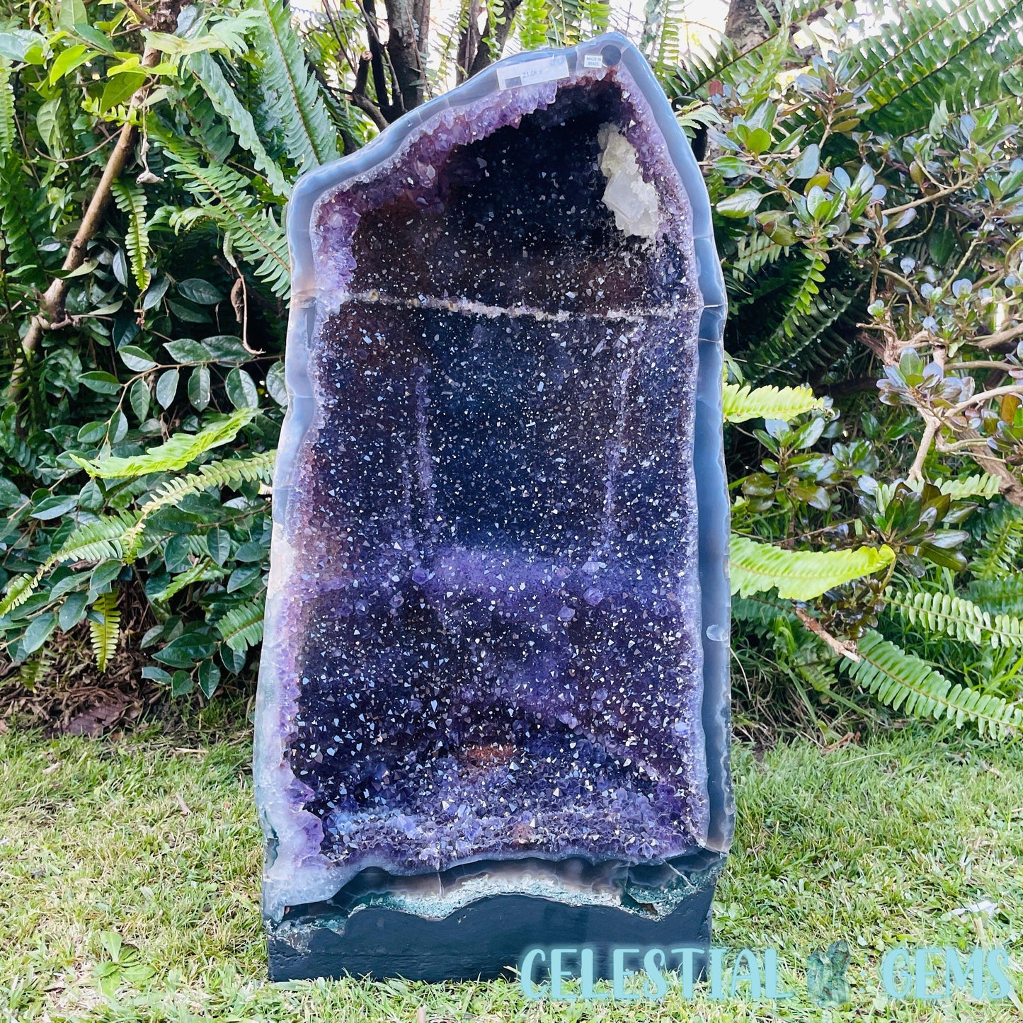 Dark Amethyst Extra Large Geode Cave (Video)