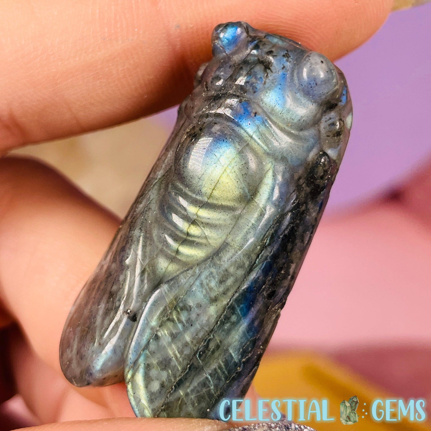 Labradorite Cicada Small Carving (Flashy!)