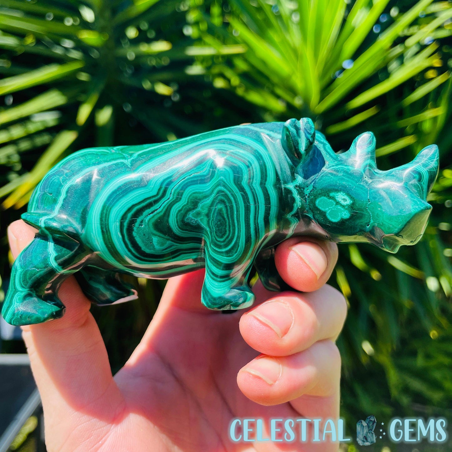 High Grade Malachite Rhinoceros Medium Carving (Gem Silica Inclusions!) A