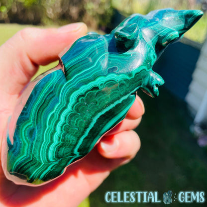 High Grade Malachite Rhinoceros Medium Carving (Gem Silica Inclusions!) A