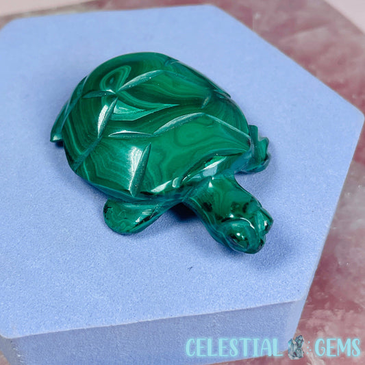 Malachite Tortoise Small Carving A