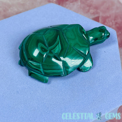 Malachite Tortoise Small Carving A