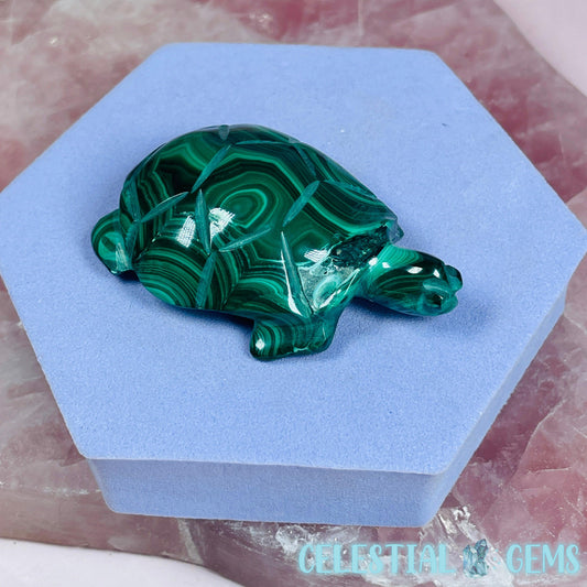 Malachite Tortoise Small Carving B