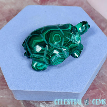 Malachite Tortoise Small Carving B