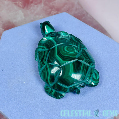 Malachite Tortoise Small Carving B