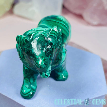 Malachite Lion Medium Carving