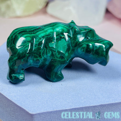 Malachite Hippopotamus Small Carving A