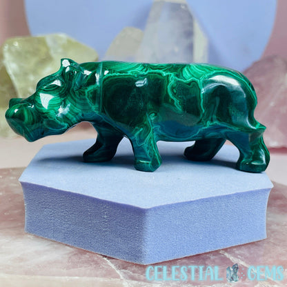 High Grade Malachite Hippopotamus Medium Carving D