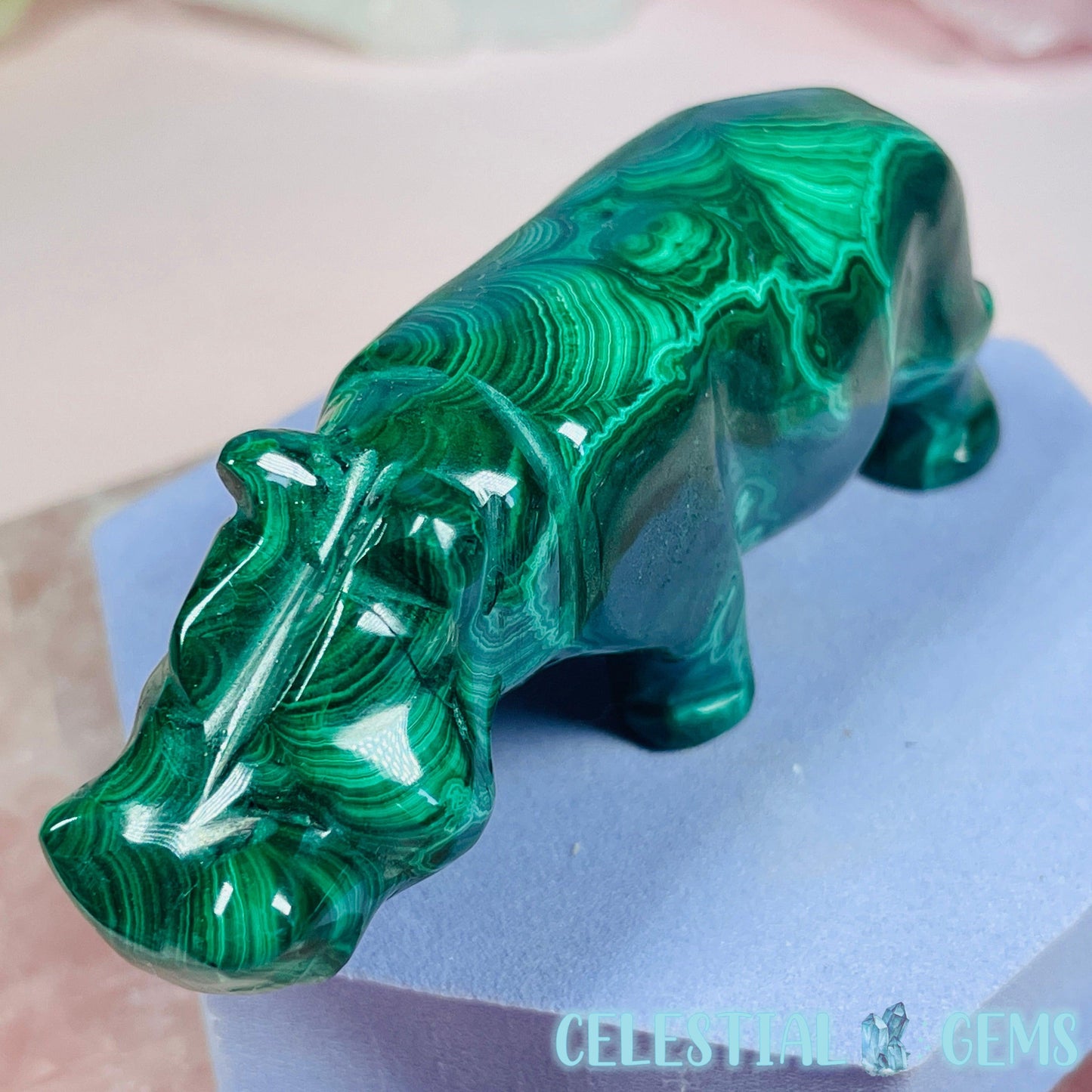 High Grade Malachite Hippopotamus Medium Carving D