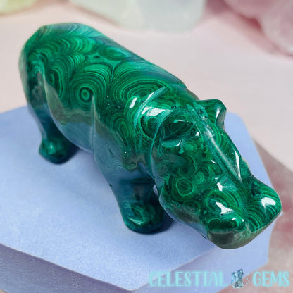 High Grade Malachite Hippopotamus Medium Carving D