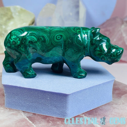 High Grade Malachite Hippopotamus Medium Carving D