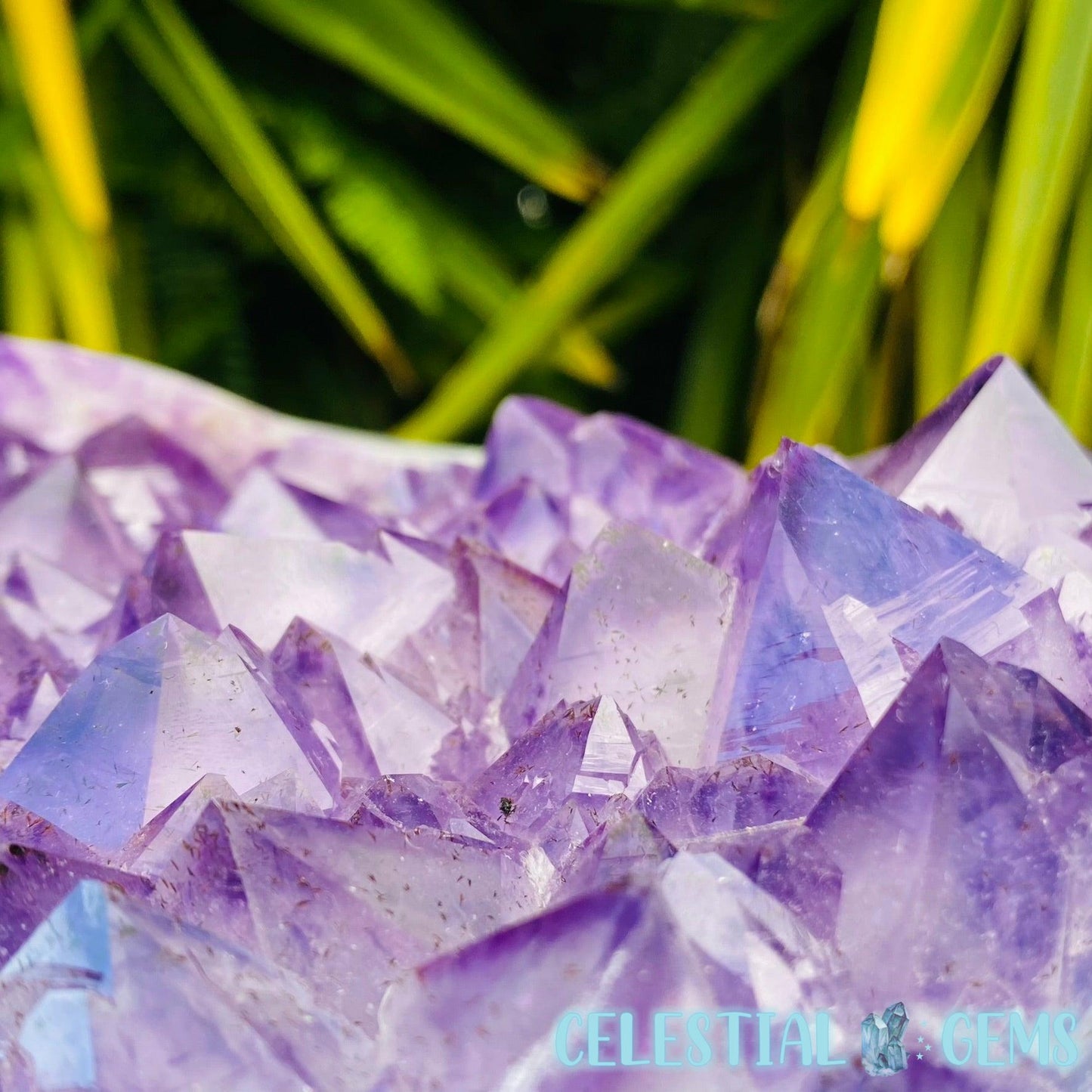 Amethyst Druzy XXL Polished Flat Cluster/Freeform (14.6kg)