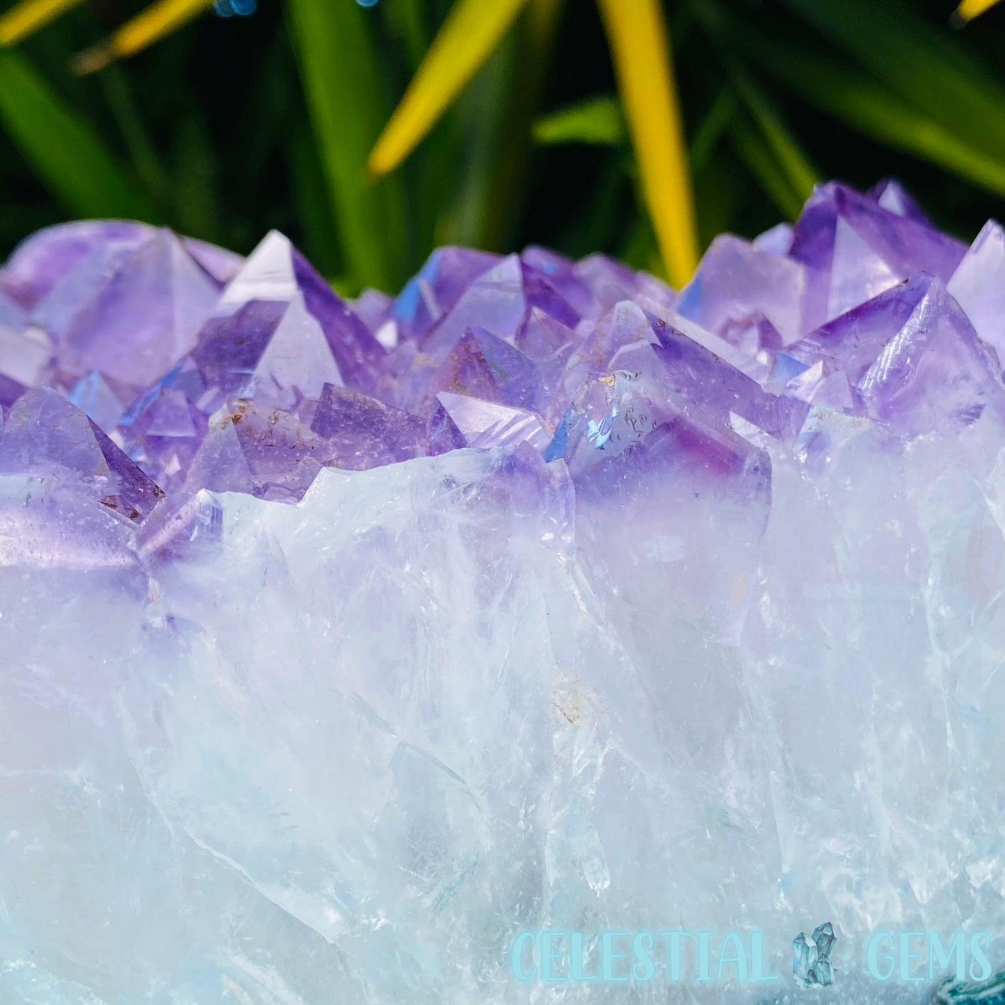 Amethyst Druzy XXL Polished Flat Cluster/Freeform (14.6kg)