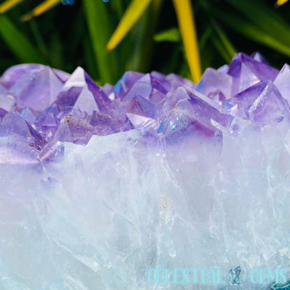 Amethyst Druzy XXL Polished Flat Cluster/Freeform (14.6kg)