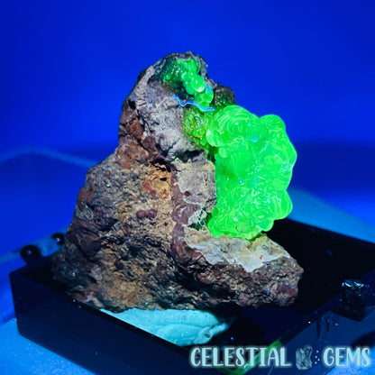 Hyalite Opal on Matrix Mini Specimen (UV)