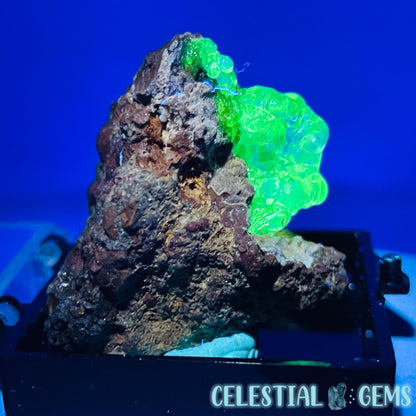 Hyalite Opal on Matrix Mini Specimen (UV)