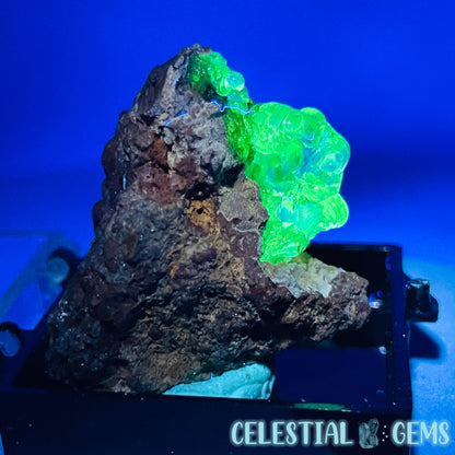 Hyalite Opal on Matrix Mini Specimen (UV)