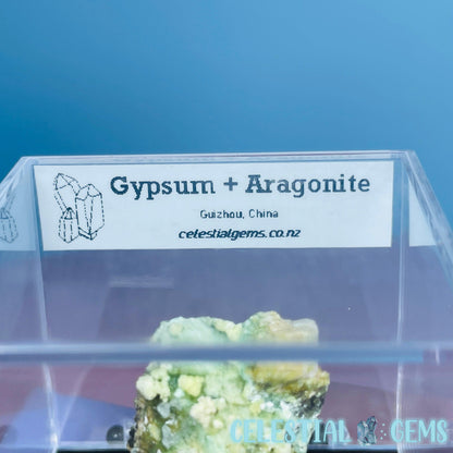 Gypsum + UV Phosphorescent Aragonite Small Specimen in Box (Video)