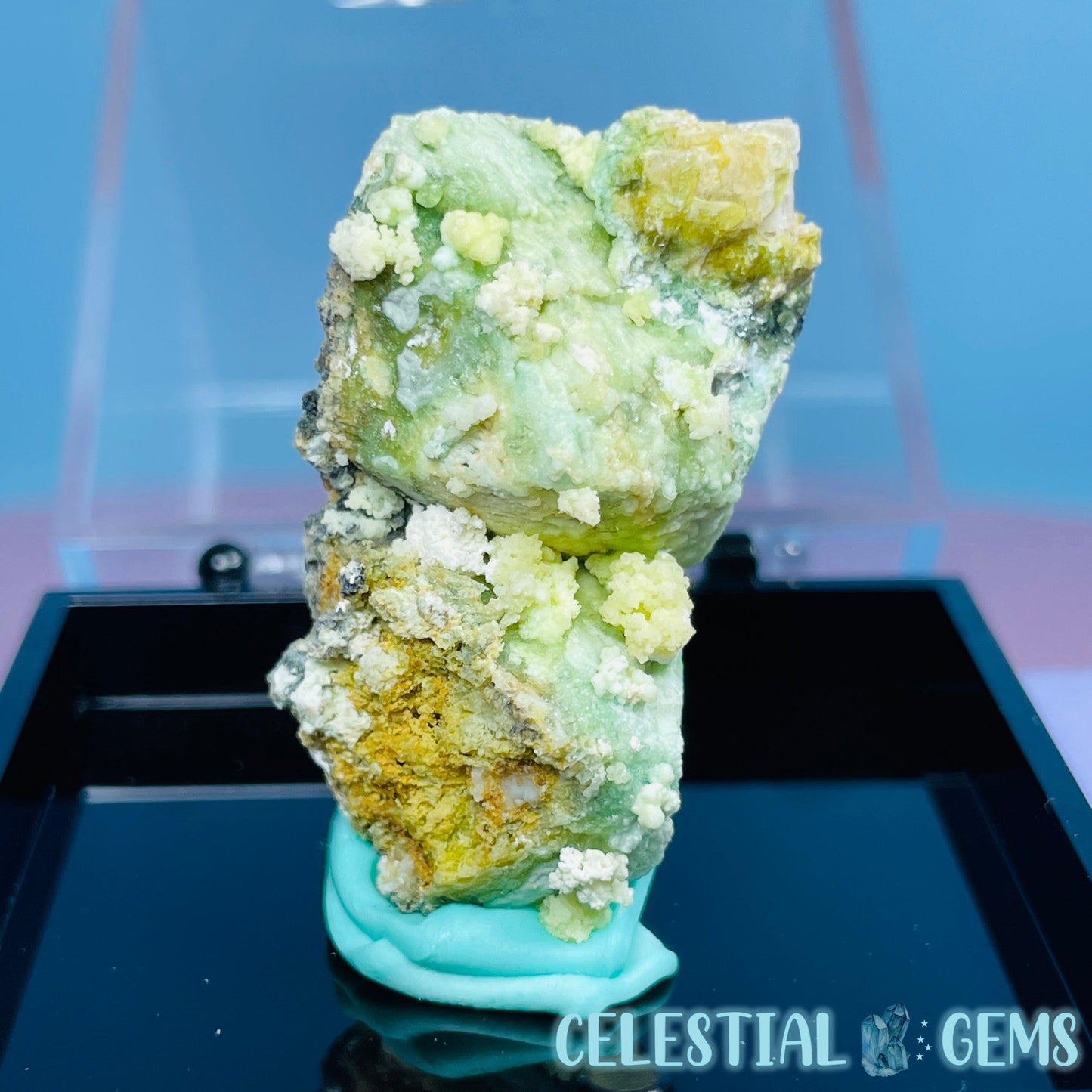 Gypsum + UV Phosphorescent Aragonite Small Specimen in Box (Video)