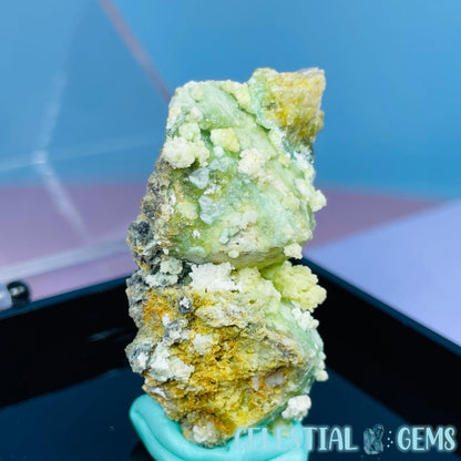 Gypsum + UV Phosphorescent Aragonite Small Specimen in Box (Video)