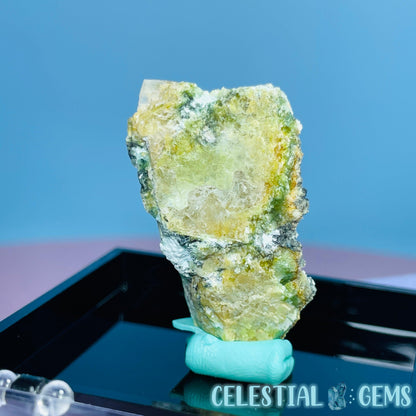 Gypsum + UV Phosphorescent Aragonite Small Specimen in Box (Video)