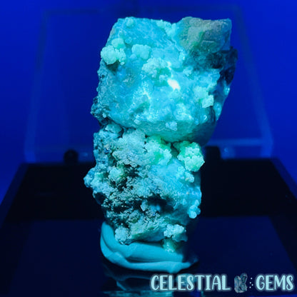 Gypsum + UV Phosphorescent Aragonite Small Specimen in Box (Video)