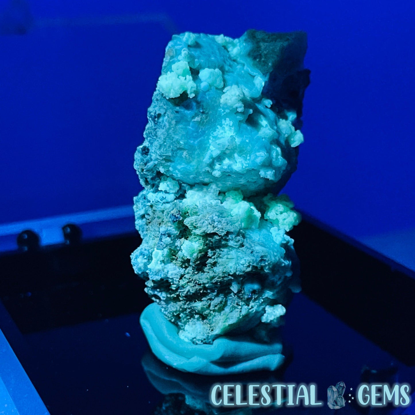 Gypsum + UV Phosphorescent Aragonite Small Specimen in Box (Video)