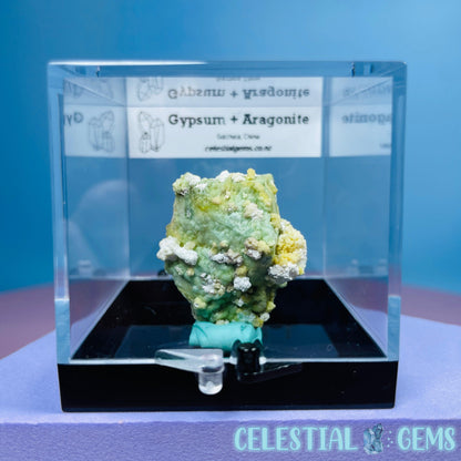 Gypsum + UV Phosphorescent Aragonite Small Specimen in Box (Video)