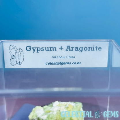 Gypsum + UV Phosphorescent Aragonite Small Specimen in Box (Video)