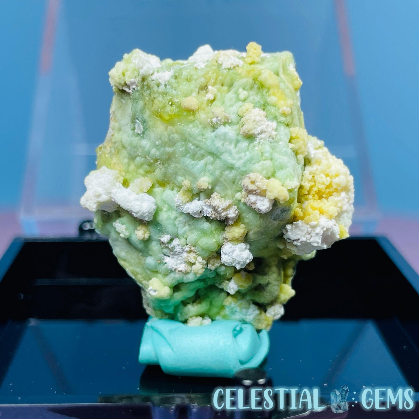 Gypsum + UV Phosphorescent Aragonite Small Specimen in Box (Video)