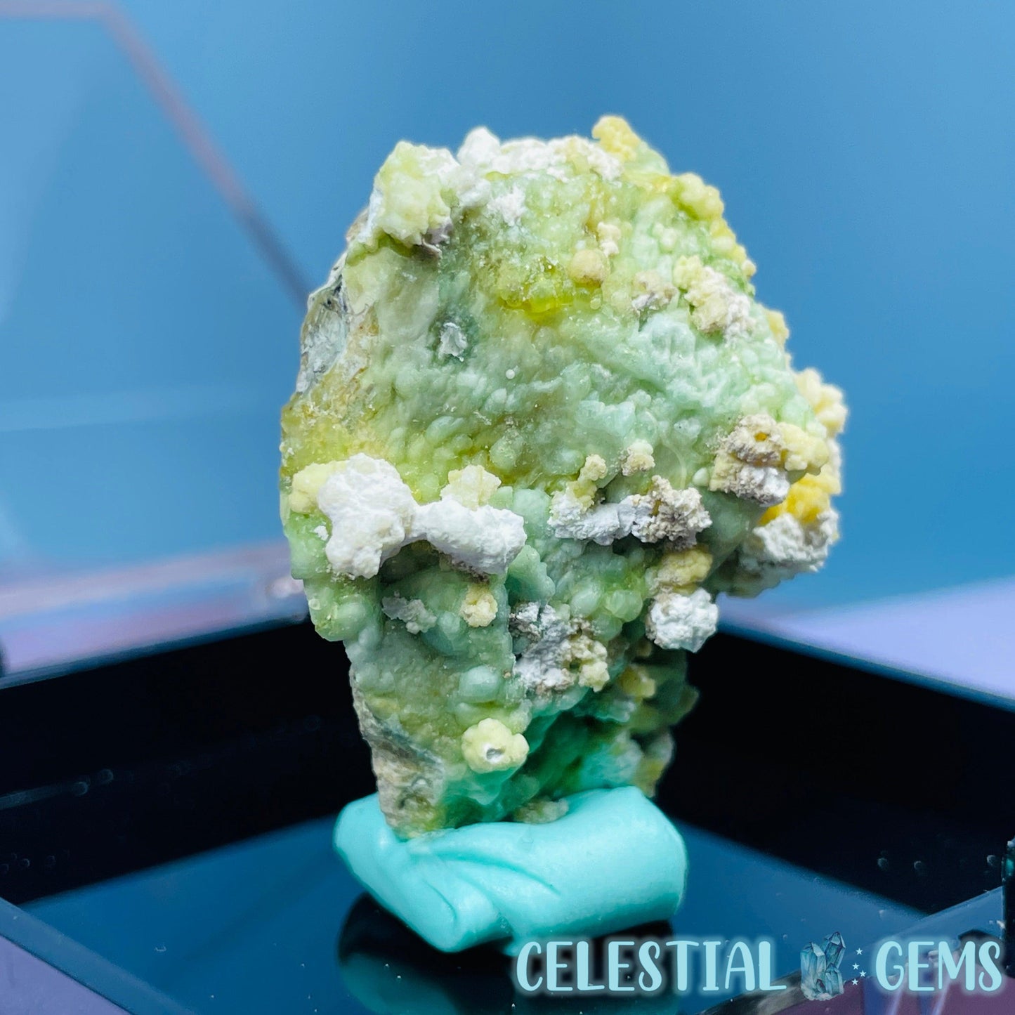 Gypsum + UV Phosphorescent Aragonite Small Specimen in Box (Video)