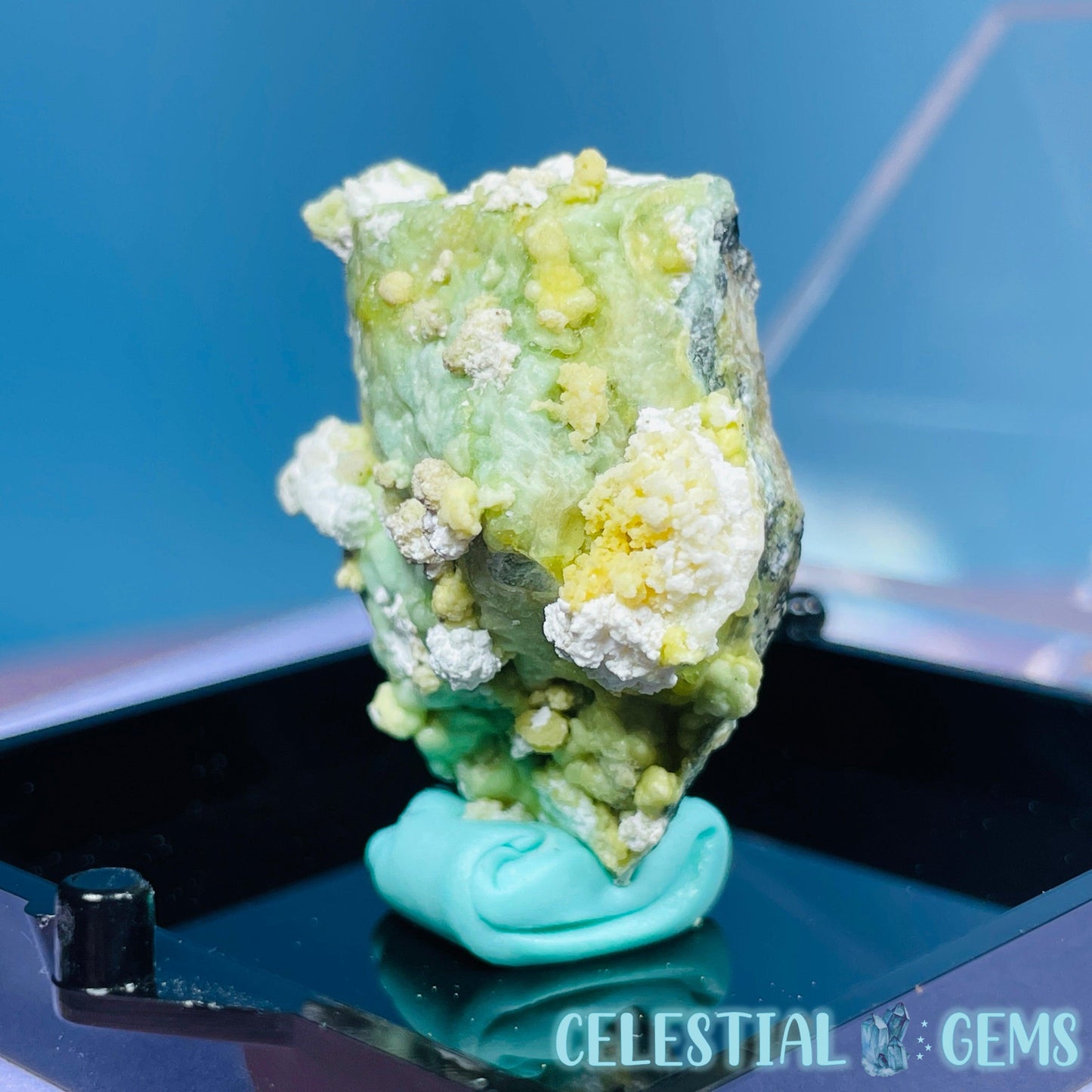 Gypsum + UV Phosphorescent Aragonite Small Specimen in Box (Video)