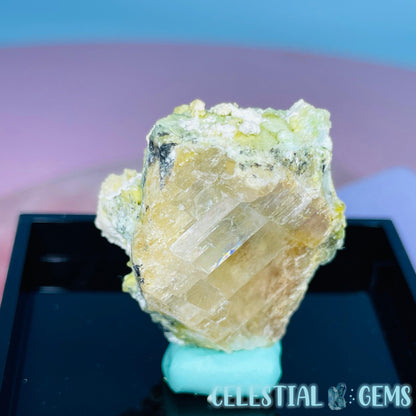 Gypsum + UV Phosphorescent Aragonite Small Specimen in Box (Video)