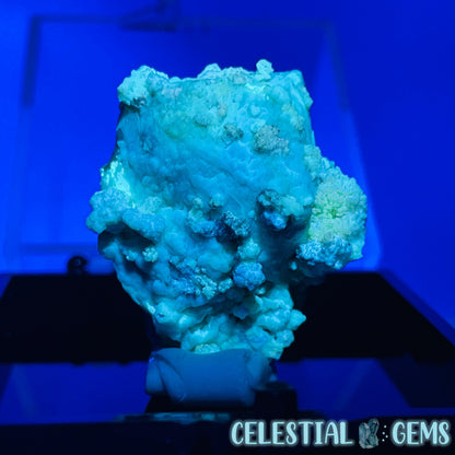 Gypsum + UV Phosphorescent Aragonite Small Specimen in Box (Video)