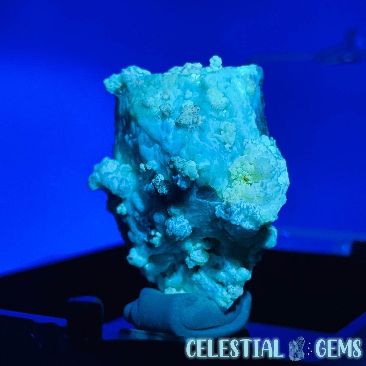 Gypsum + UV Phosphorescent Aragonite Small Specimen in Box (Video)