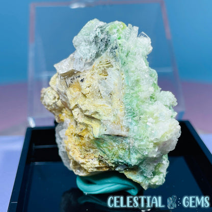 Gypsum + UV Phosphorescent Aragonite Small Specimen in Box (Video)