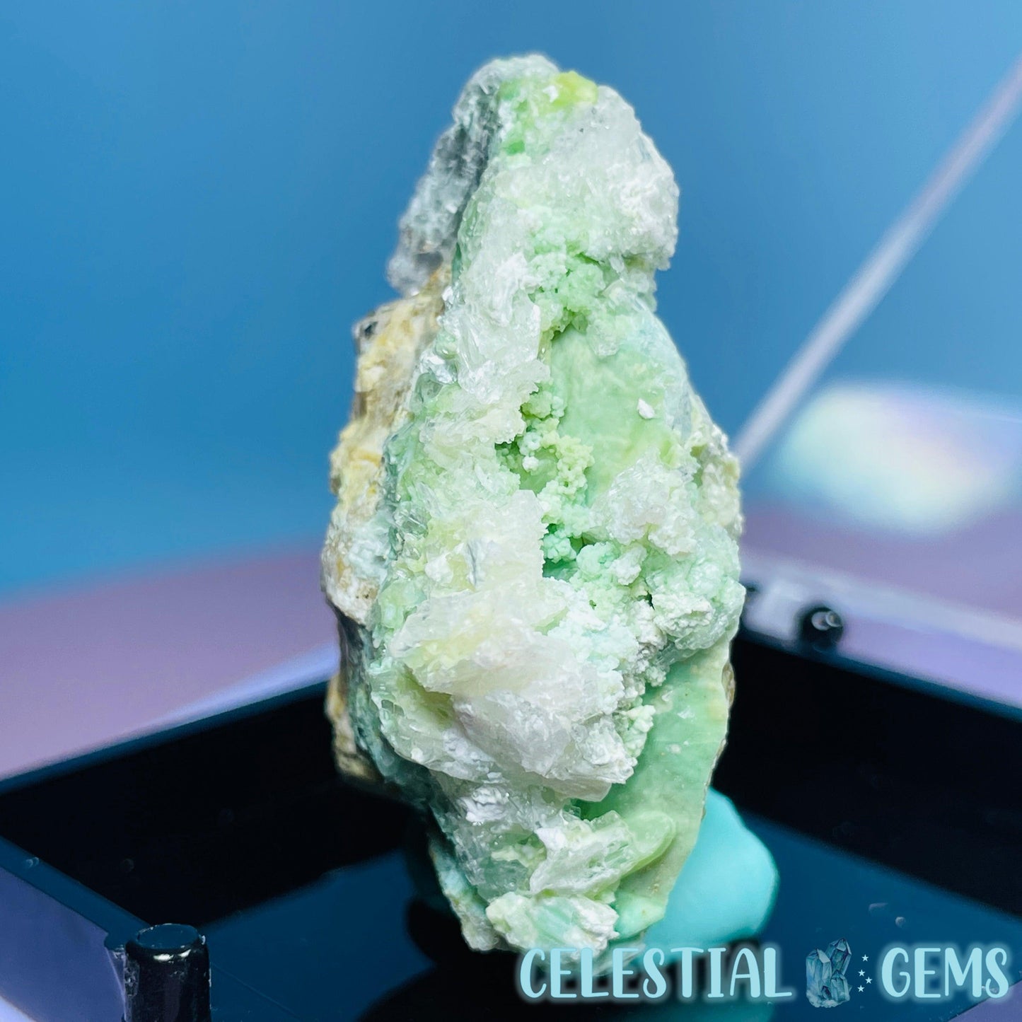 Gypsum + UV Phosphorescent Aragonite Small Specimen in Box (Video)