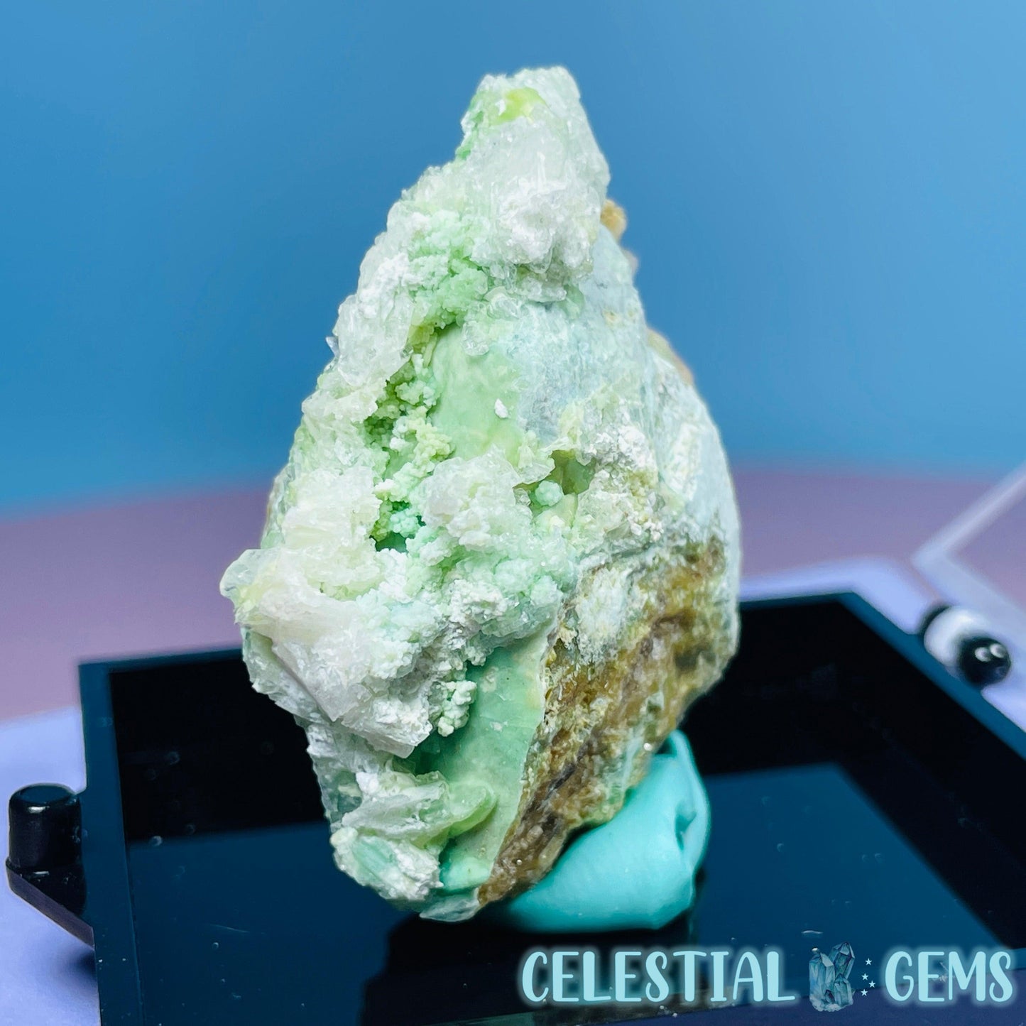 Gypsum + UV Phosphorescent Aragonite Small Specimen in Box (Video)