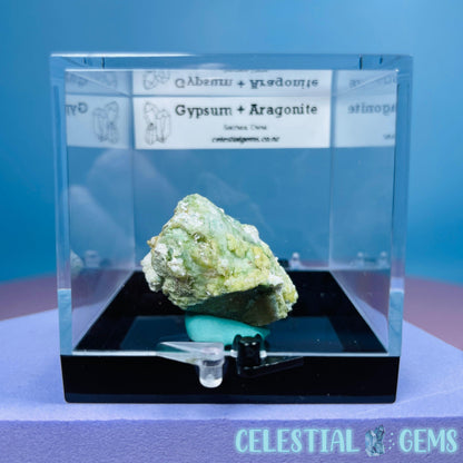 Gypsum + UV Phosphorescent Aragonite Small Specimen in Box (Video)