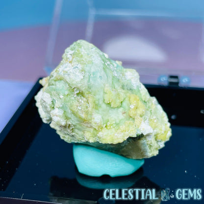 Gypsum + UV Phosphorescent Aragonite Small Specimen in Box (Video)