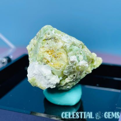 Gypsum + UV Phosphorescent Aragonite Small Specimen in Box (Video)