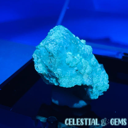 Gypsum + UV Phosphorescent Aragonite Small Specimen in Box (Video)