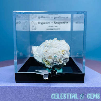 Gypsum + UV Phosphorescent Aragonite Small Specimen in Box (Video)