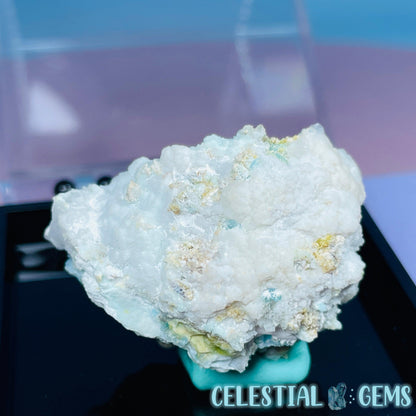 Gypsum + UV Phosphorescent Aragonite Small Specimen in Box (Video)