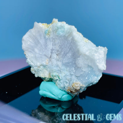 Gypsum + UV Phosphorescent Aragonite Small Specimen in Box (Video)