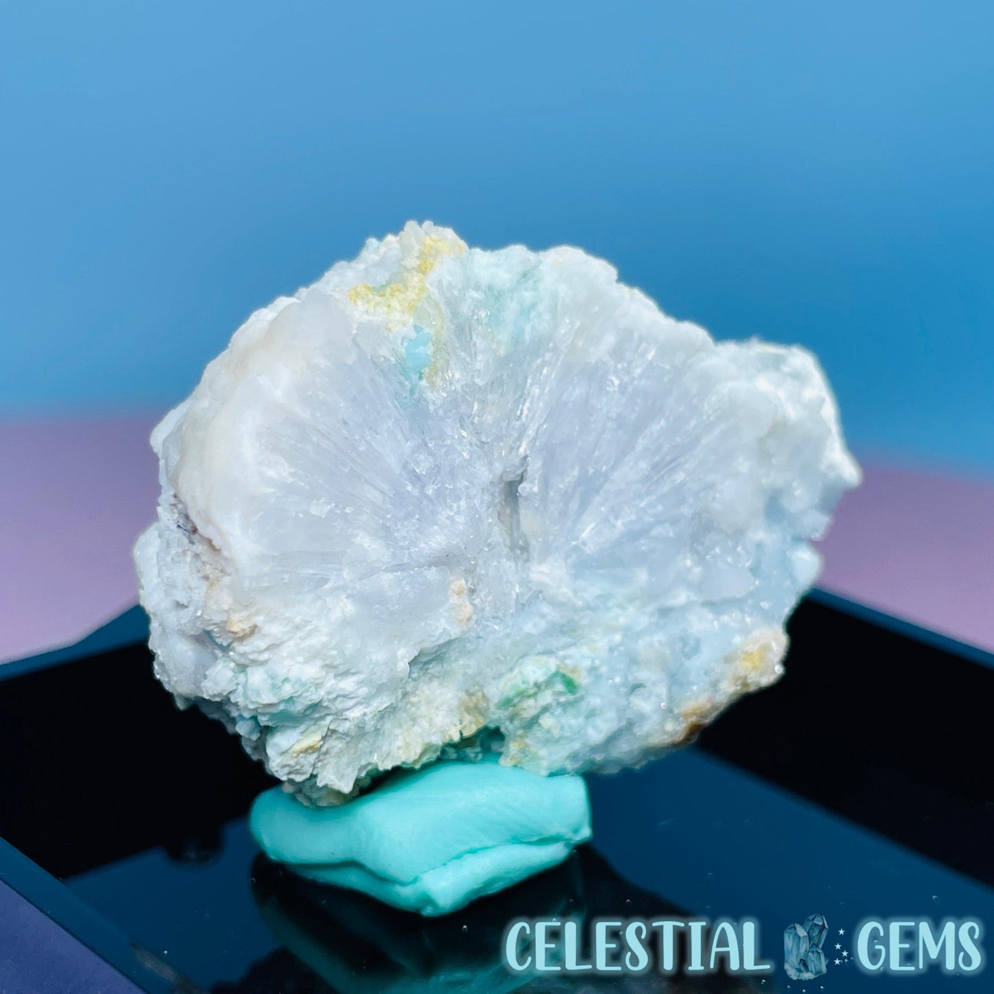 Gypsum + UV Phosphorescent Aragonite Small Specimen in Box (Video)