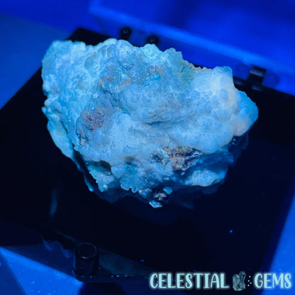 Gypsum + UV Phosphorescent Aragonite Small Specimen in Box (Video)