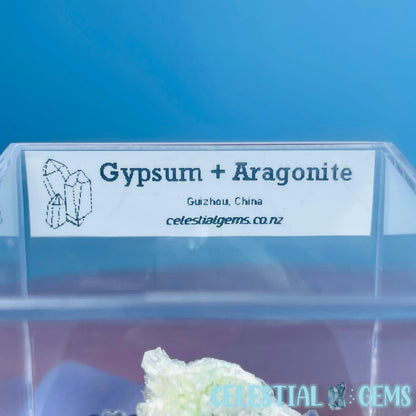 Gypsum + UV Phosphorescent Aragonite Small Specimen in Box (Video)