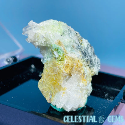 Gypsum + UV Phosphorescent Aragonite Small Specimen in Box (Video)