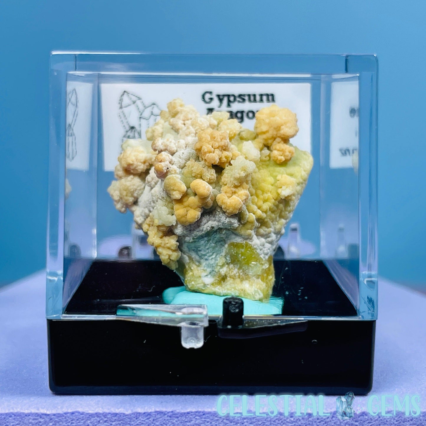 Gypsum + UV Phosphorescent Aragonite Mini Specimen in Box (Video)